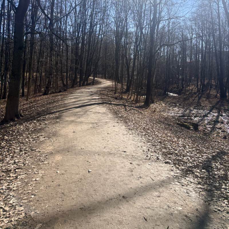 Movement is life logo