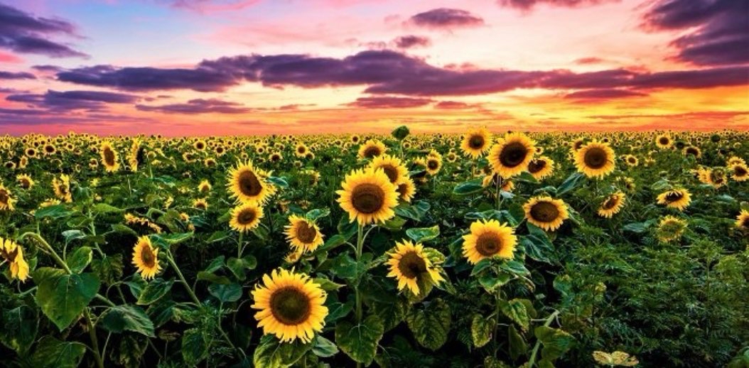 challenge background