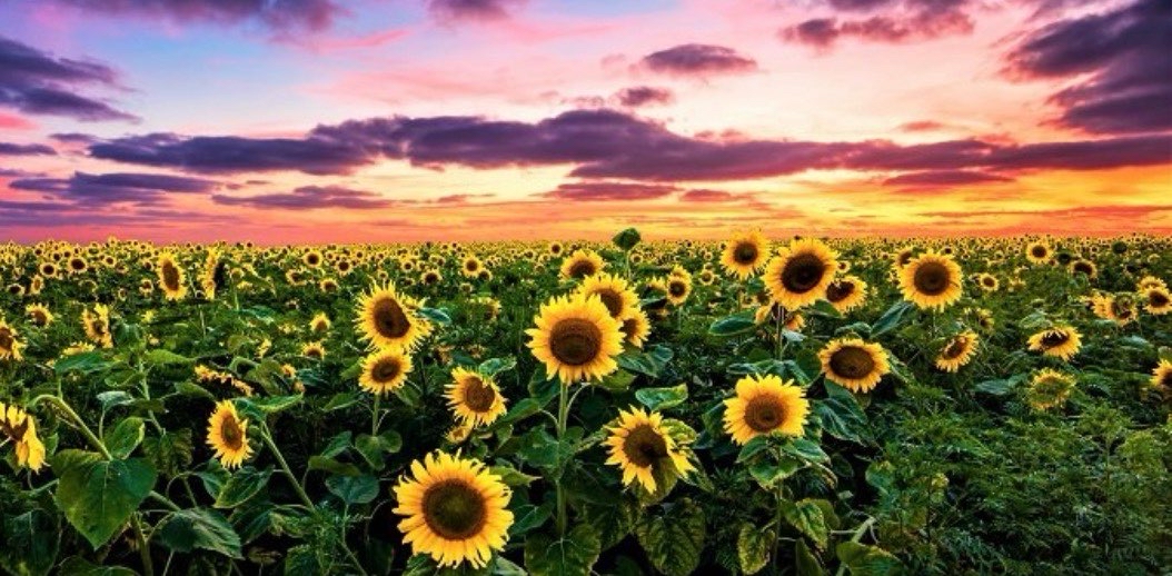 challenge background