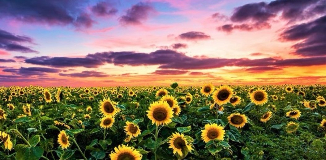 challenge background