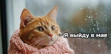 challenge background