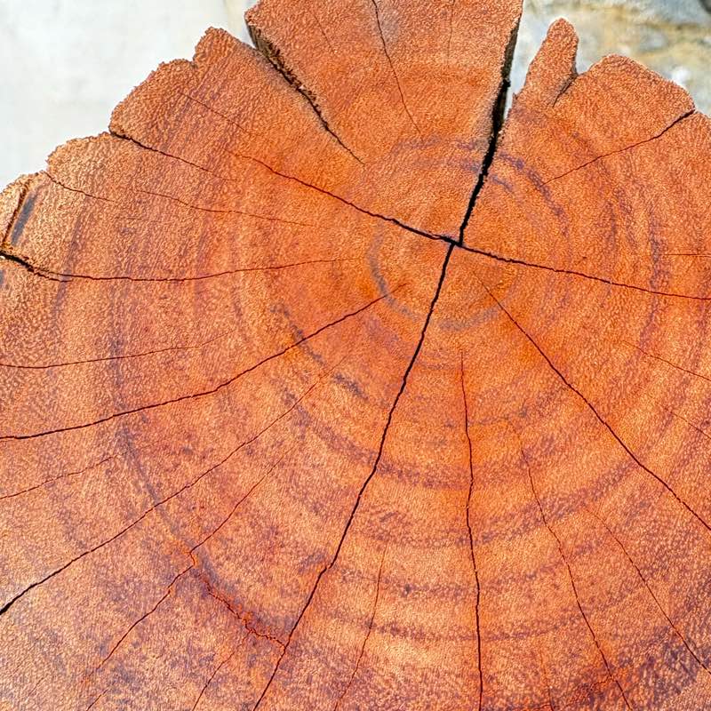 Smriti Orbit People logo