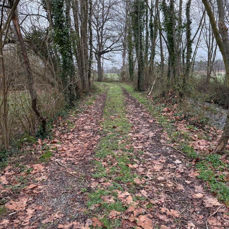 ❤️ 👣 LE 65 ET SES ENVIRONS logo