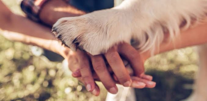 challenge background