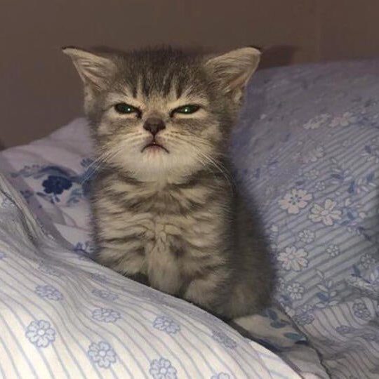 Советская Любовь 🥰 logo