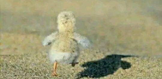 challenge background