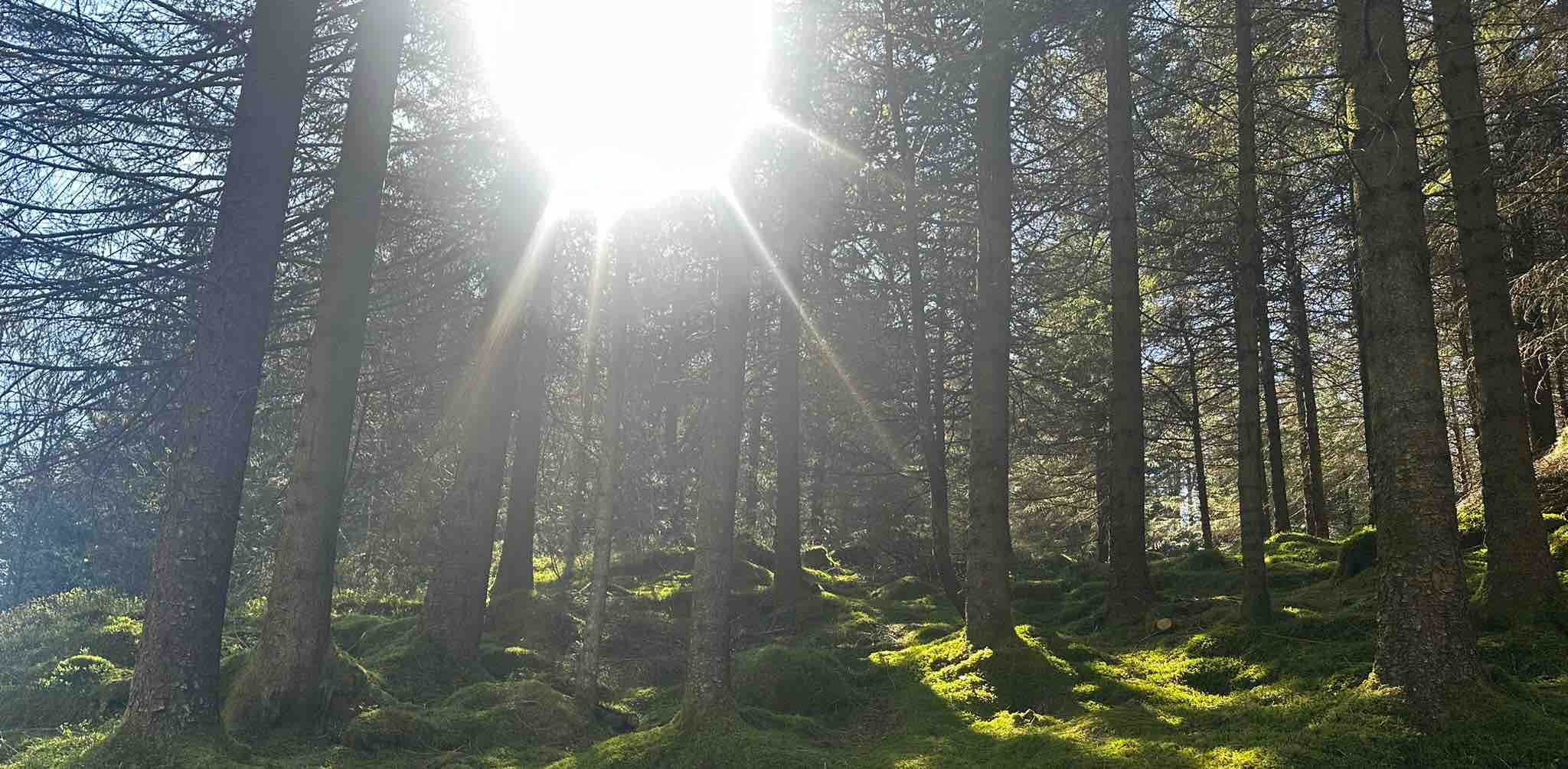 challenge background