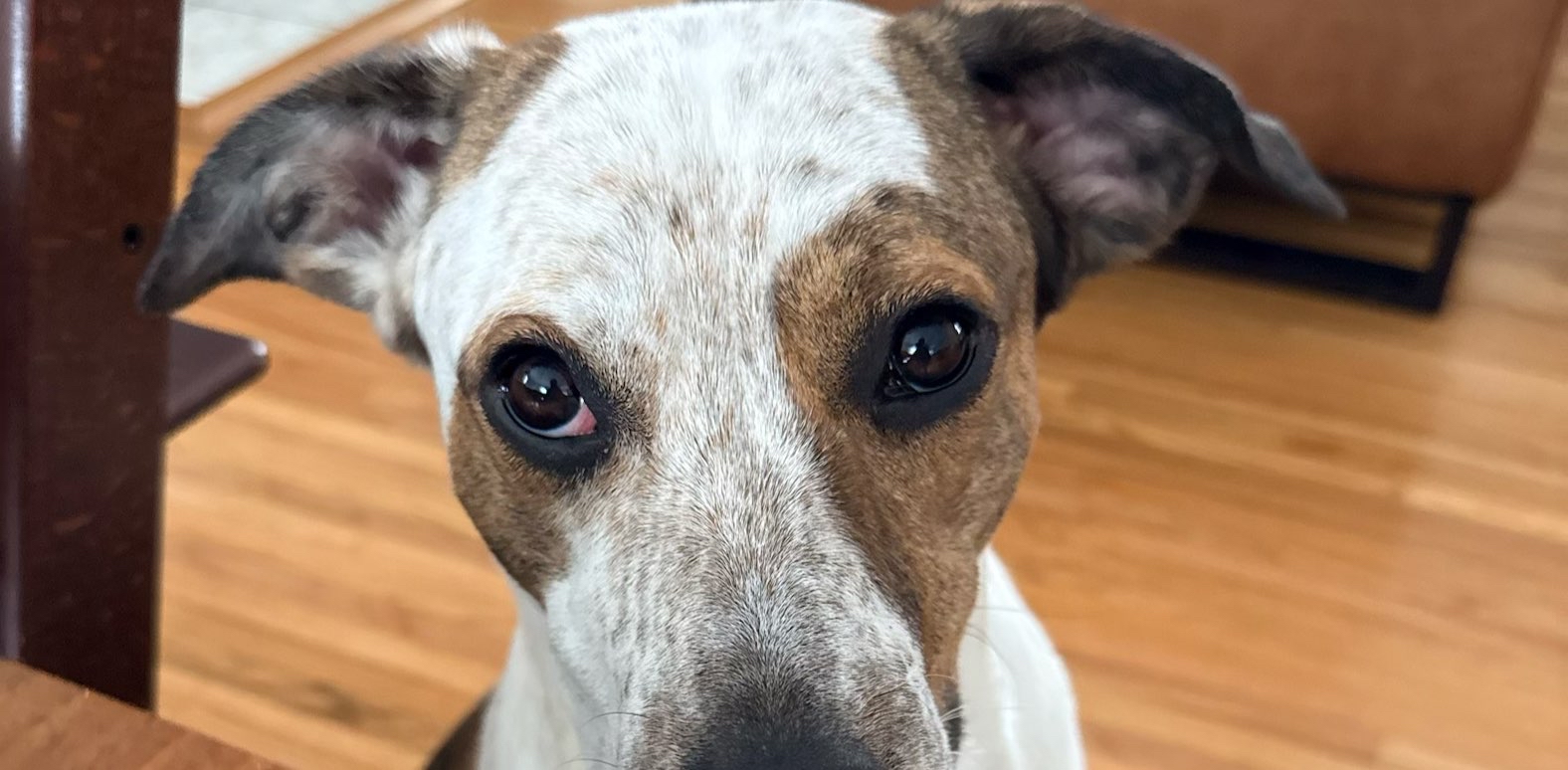 challenge background