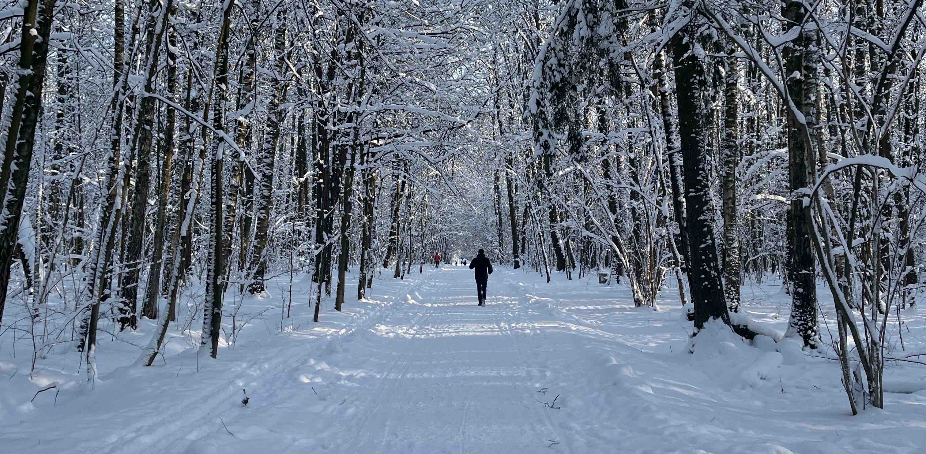 challenge background