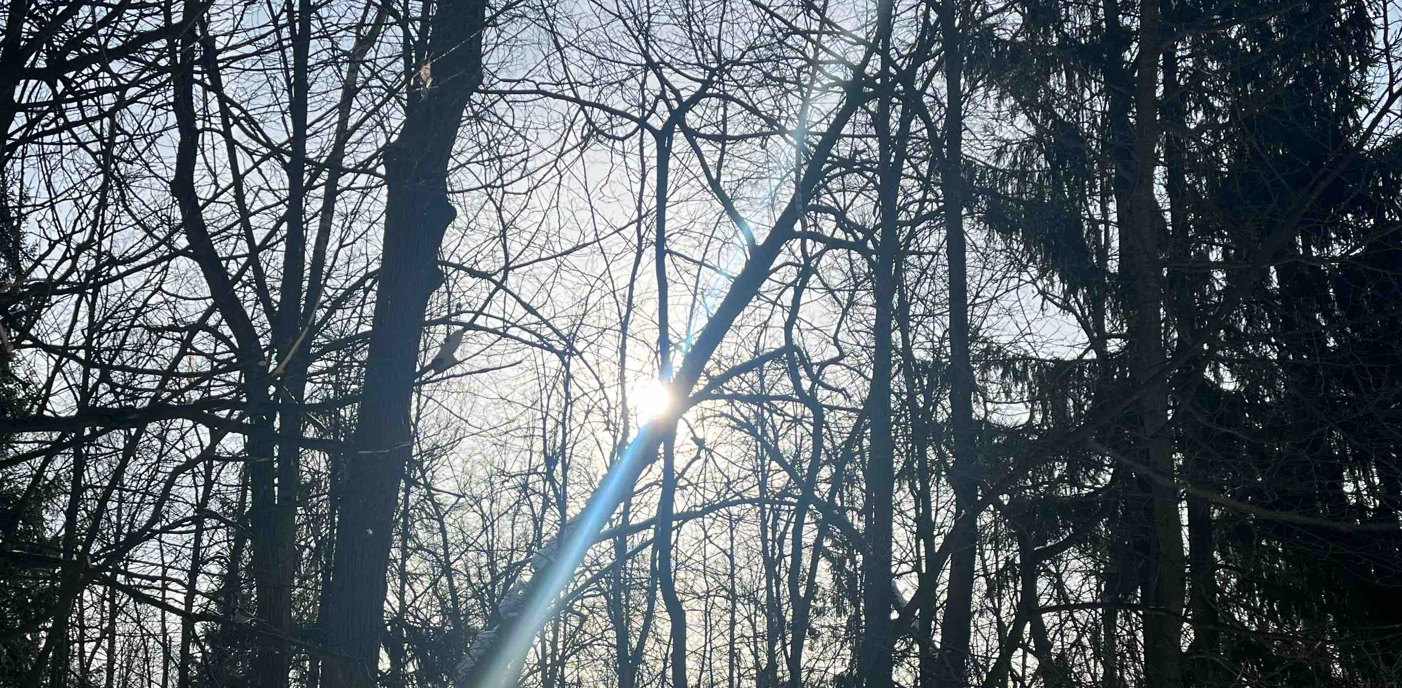 challenge background