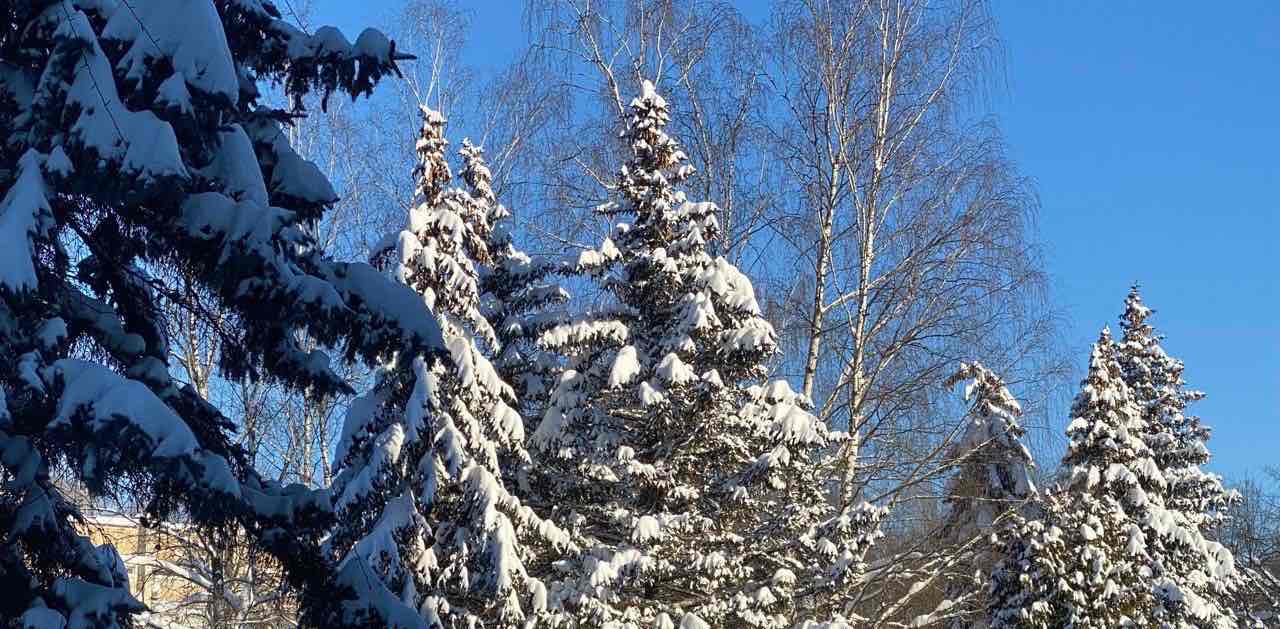 challenge background