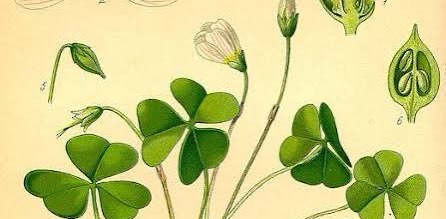 challenge background