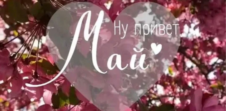 🌺🌹🌸Май привет 30000🌸🌹🌺 logo