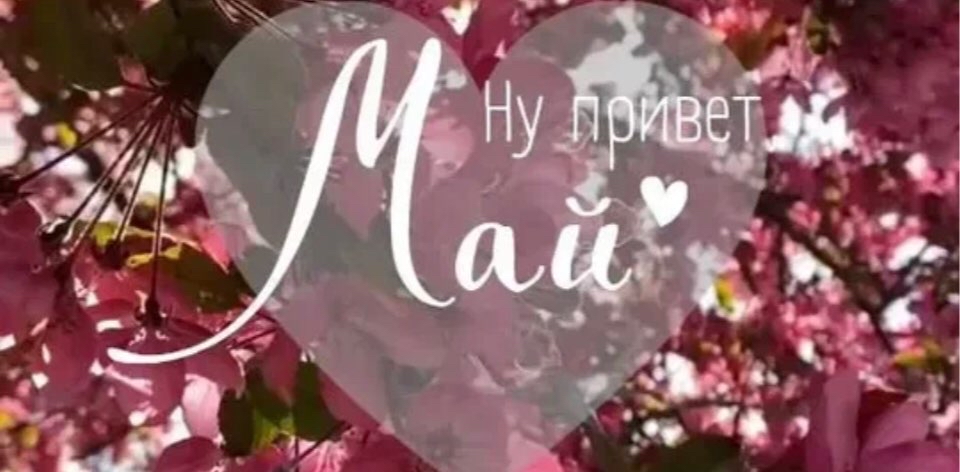 💐 Май привет 9000 💐 logo