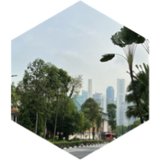 challenge badge