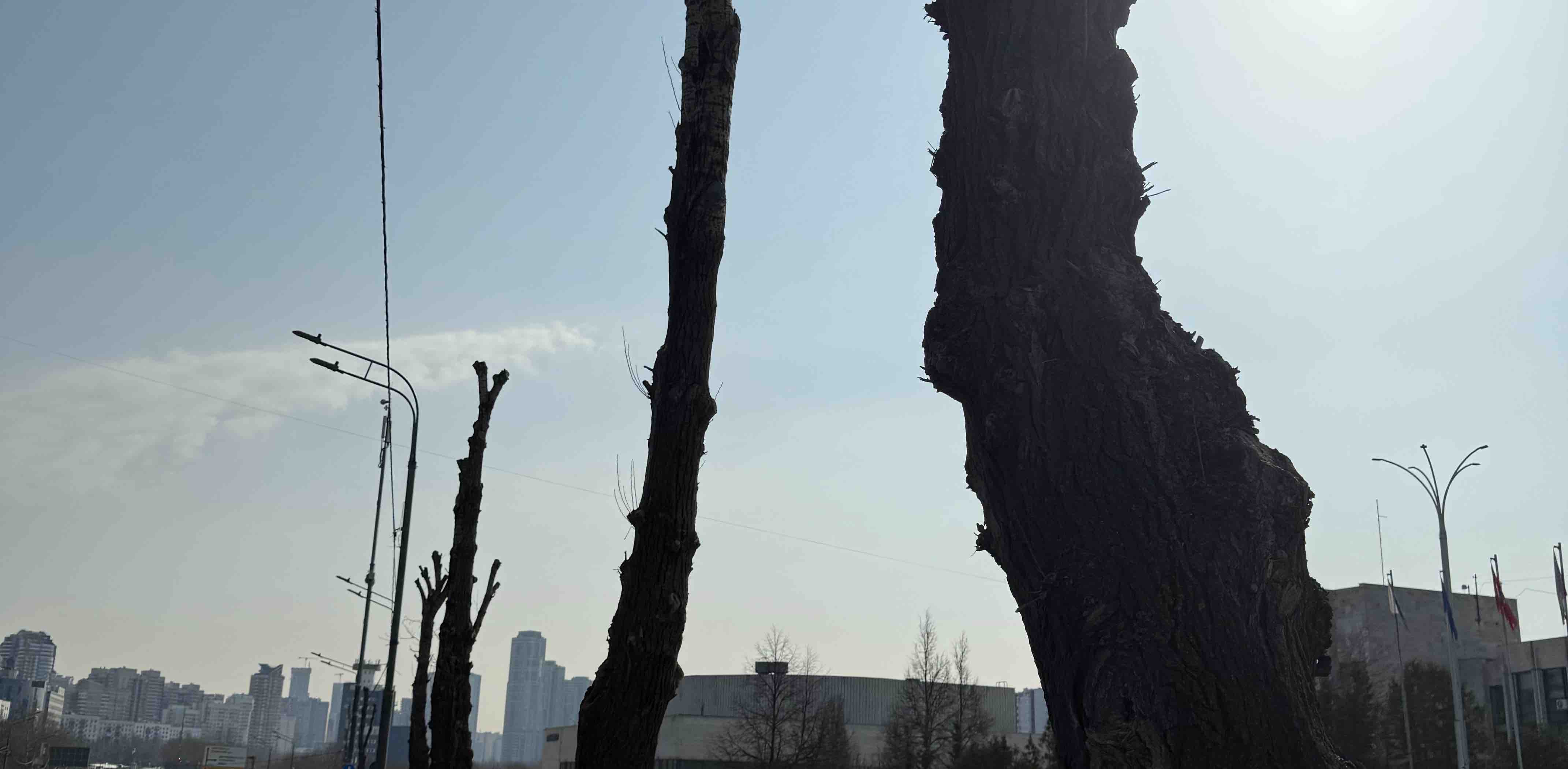 challenge background