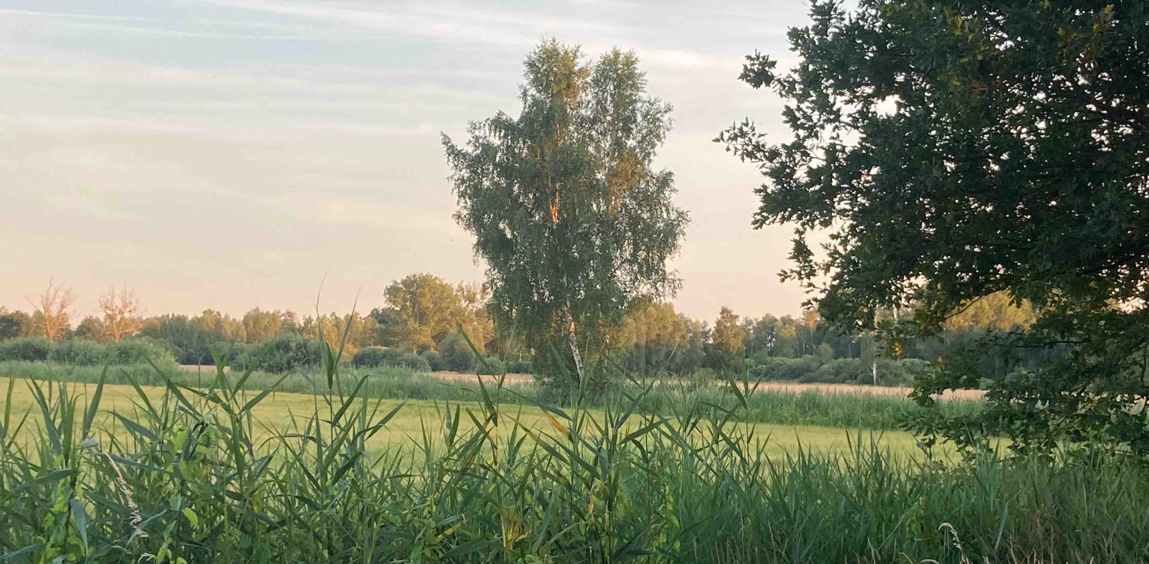 challenge background