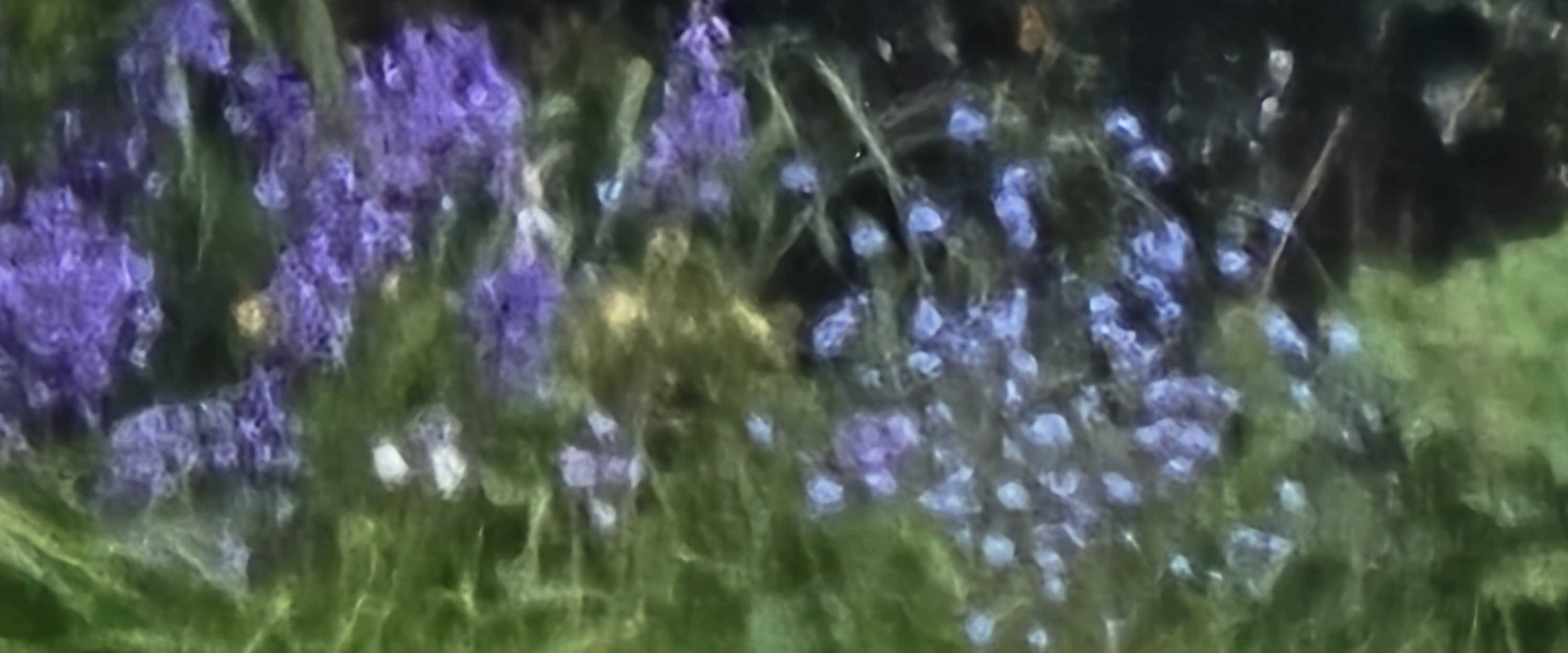 challenge background
