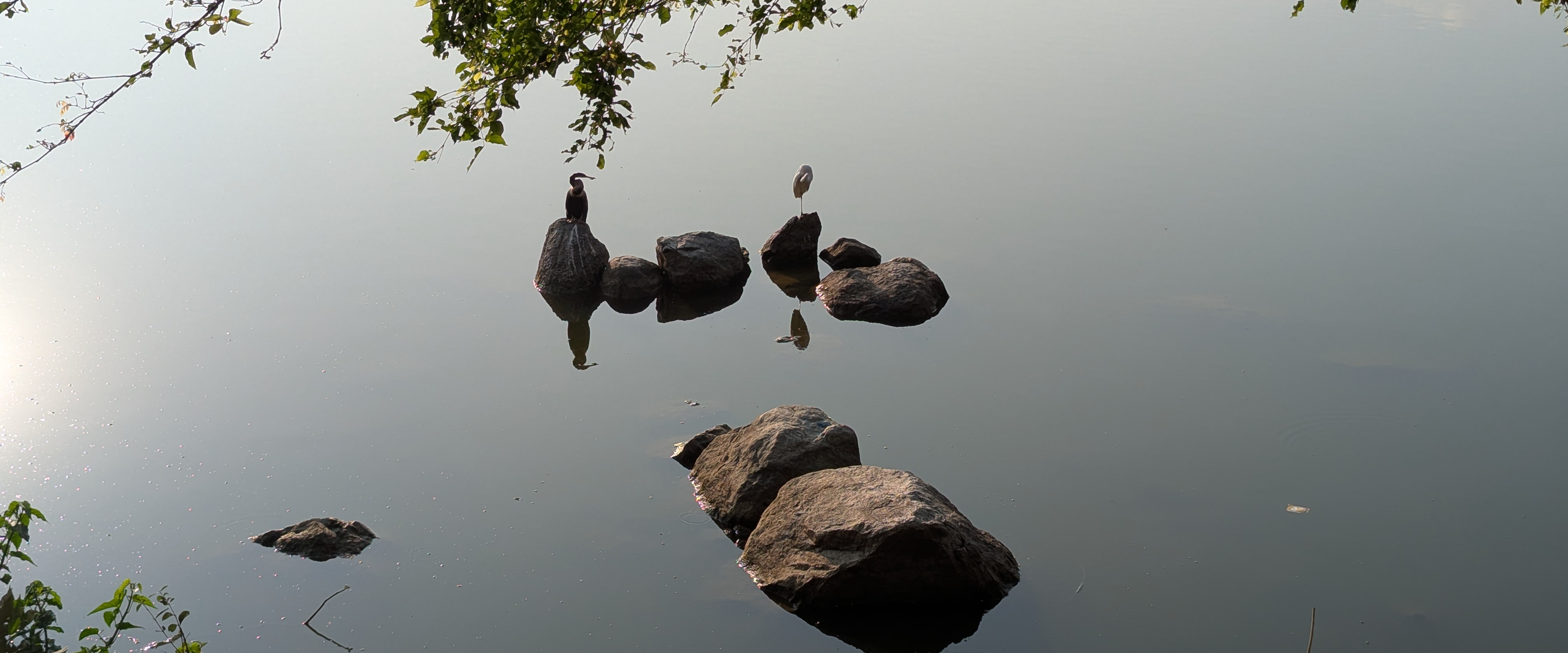 challenge background