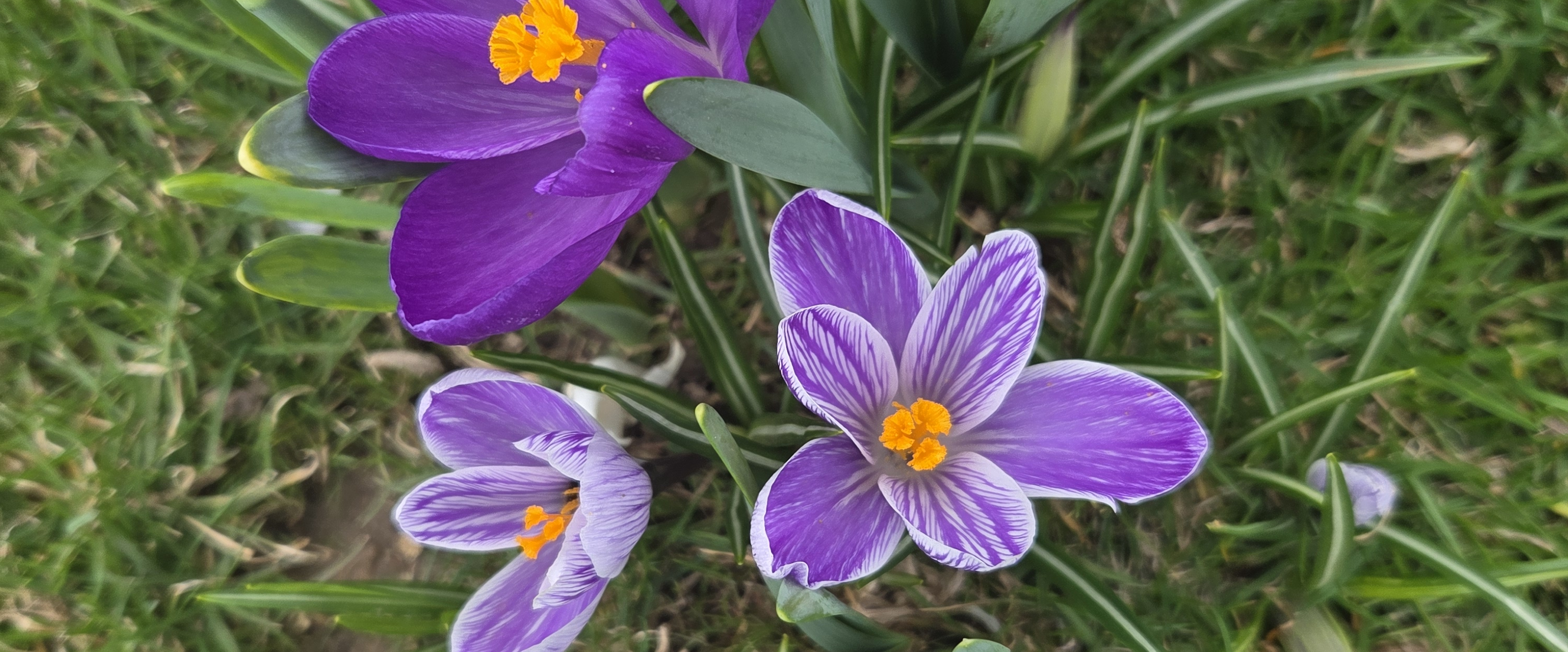 challenge background