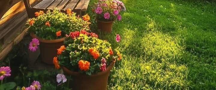 challenge background