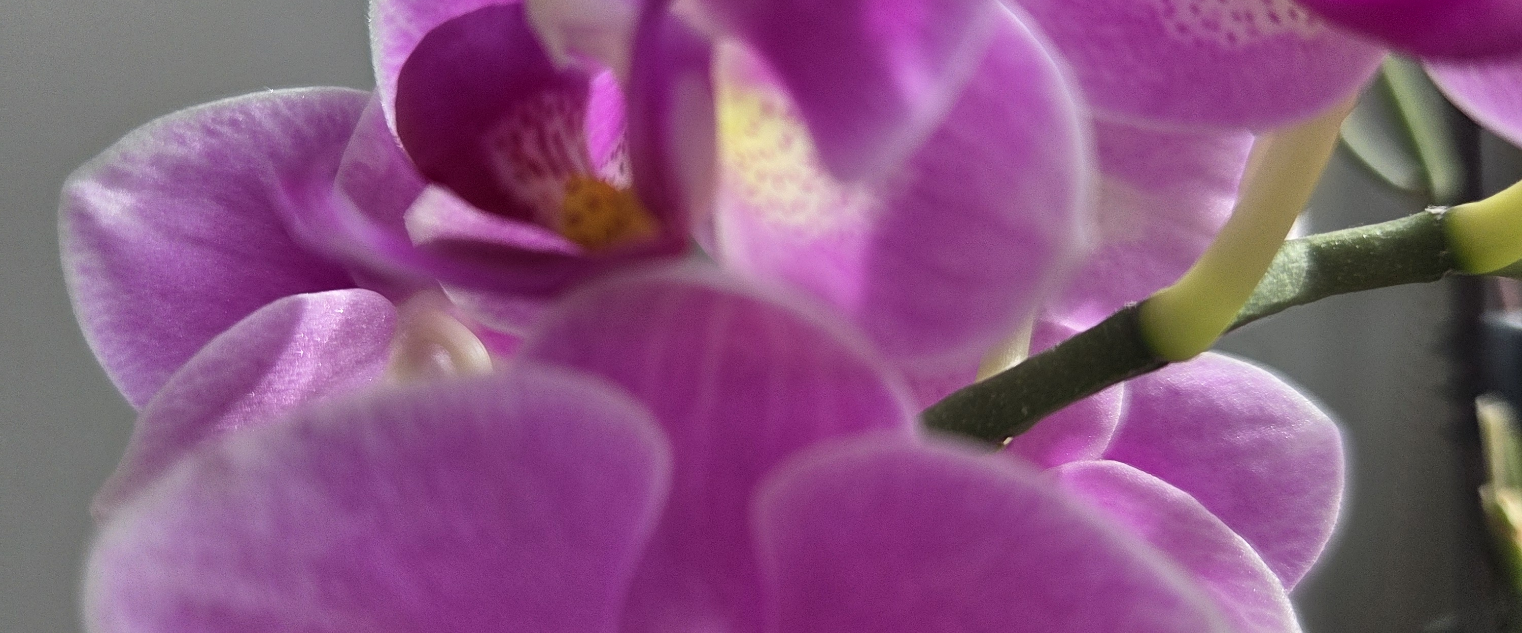 challenge background