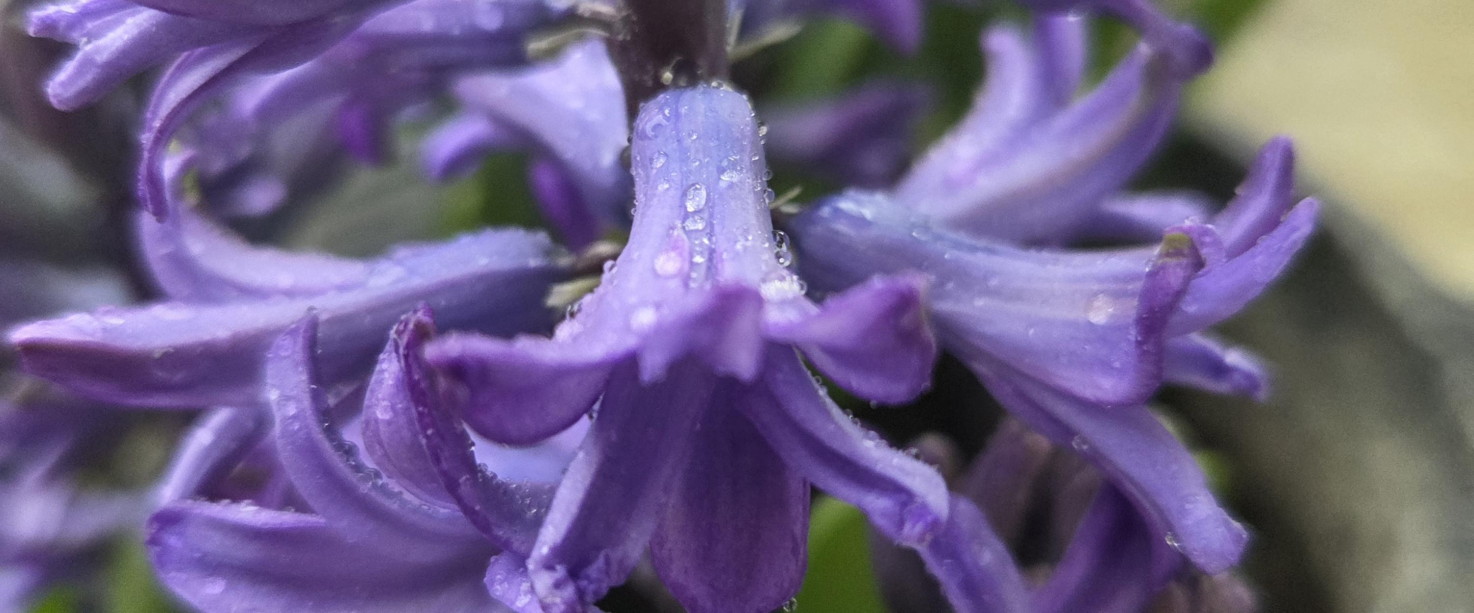 challenge background