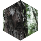 challenge badge