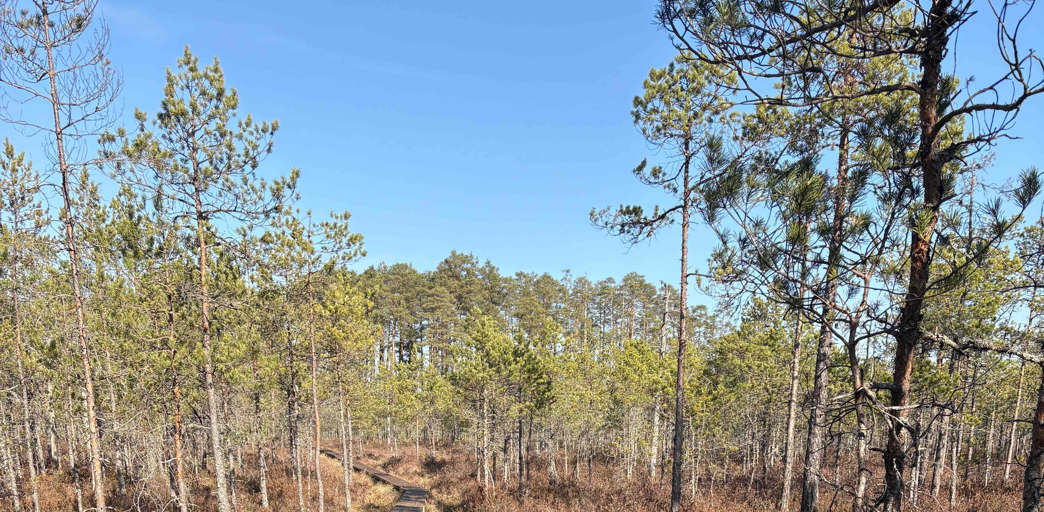 challenge background