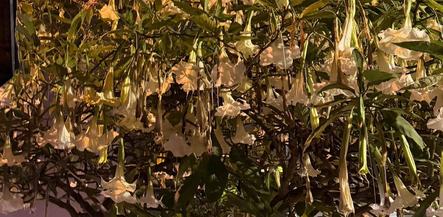 challenge background