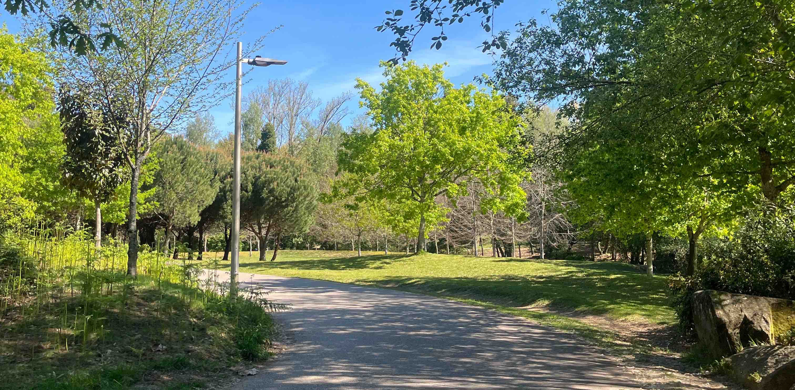 challenge background