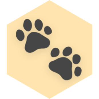 challenge badge