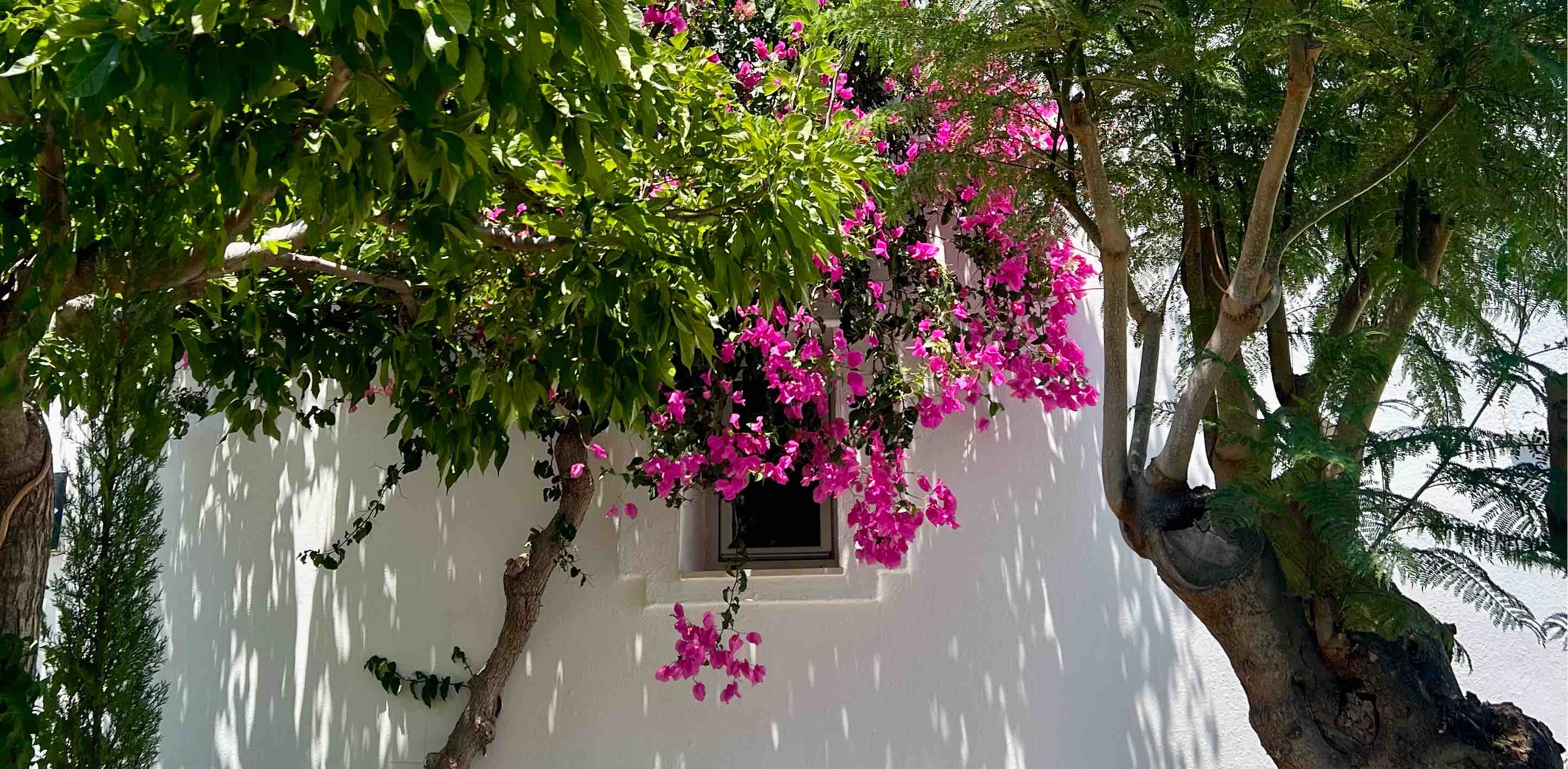 challenge background