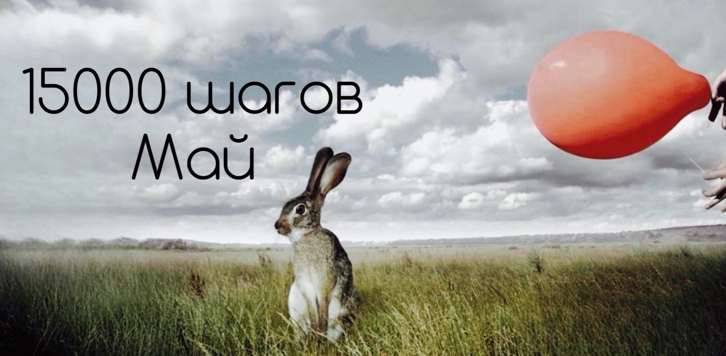 🐇15000 шагов. Май. 🐇 logo