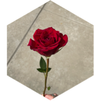 MAXIMUM OF 42,000 STEPS 🏁 icon