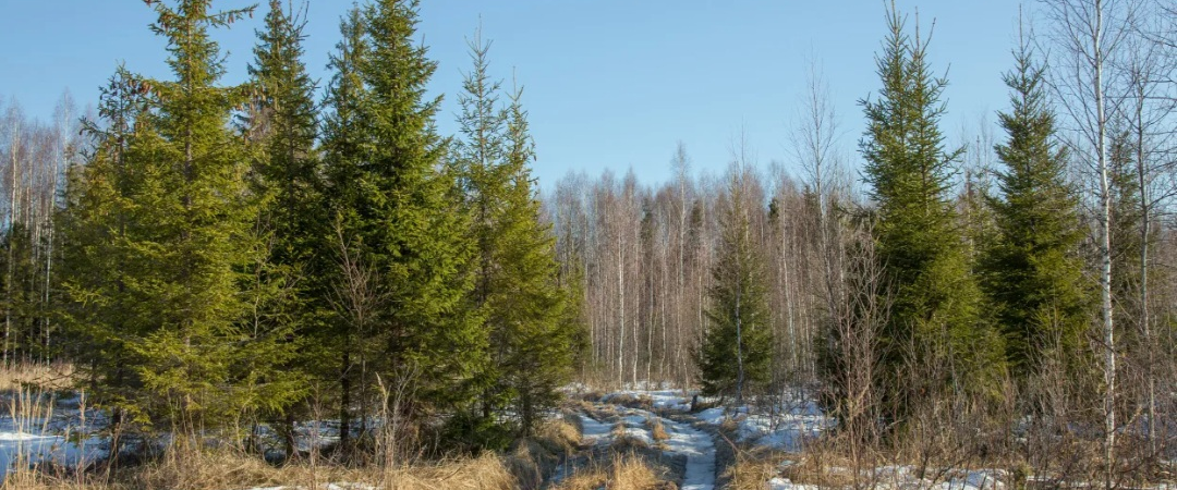 challenge background