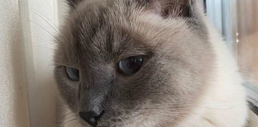 challenge background