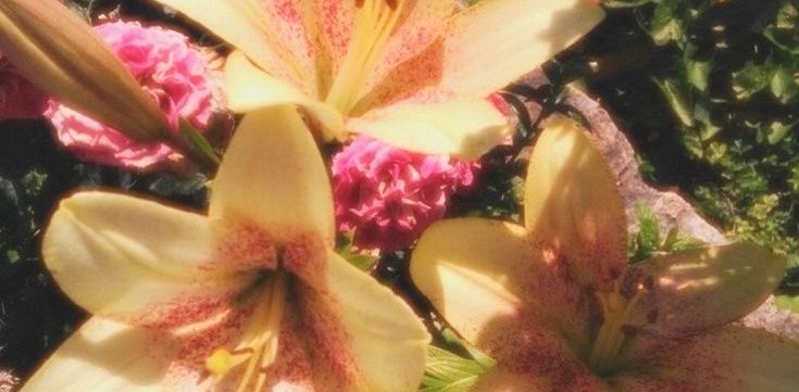 challenge background