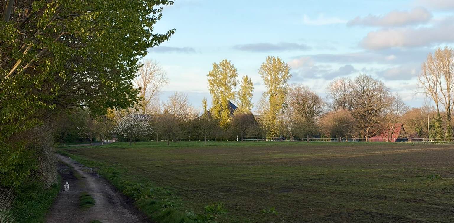 challenge background