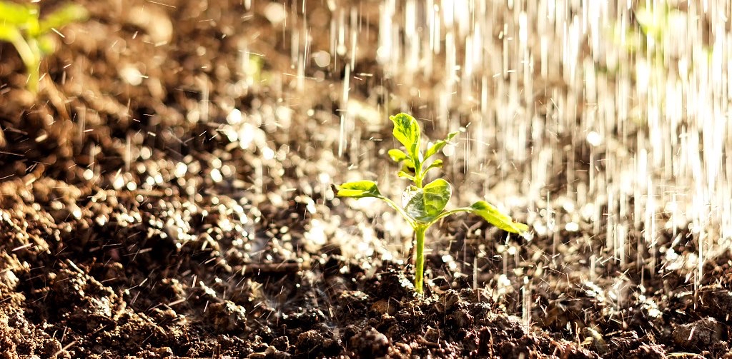 challenge background