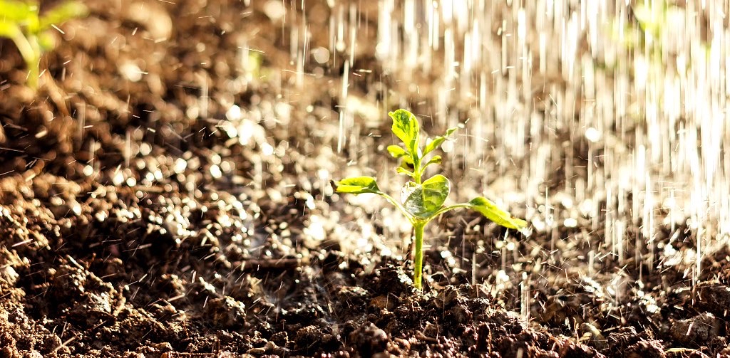 challenge background