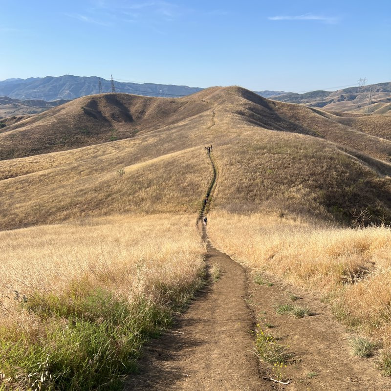 Weekend Saturday Hikers logo