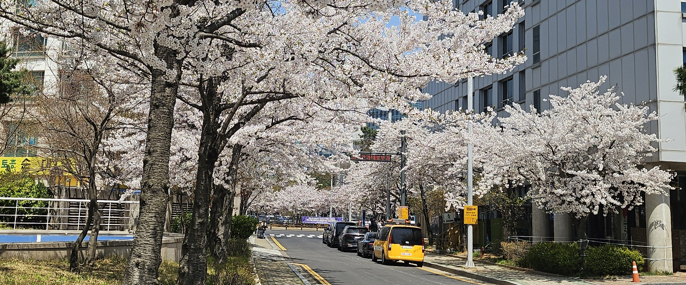 challenge background