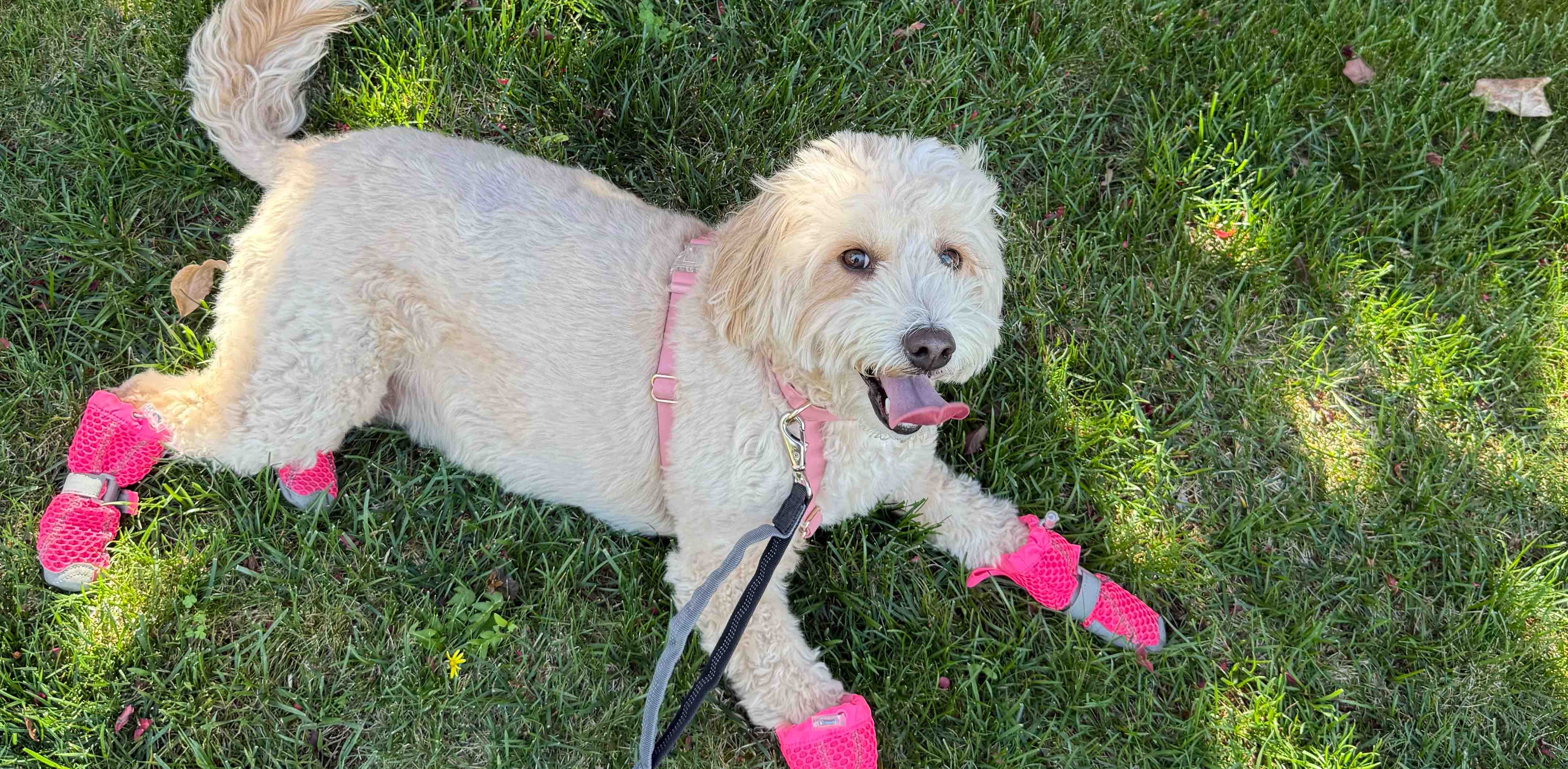 challenge background