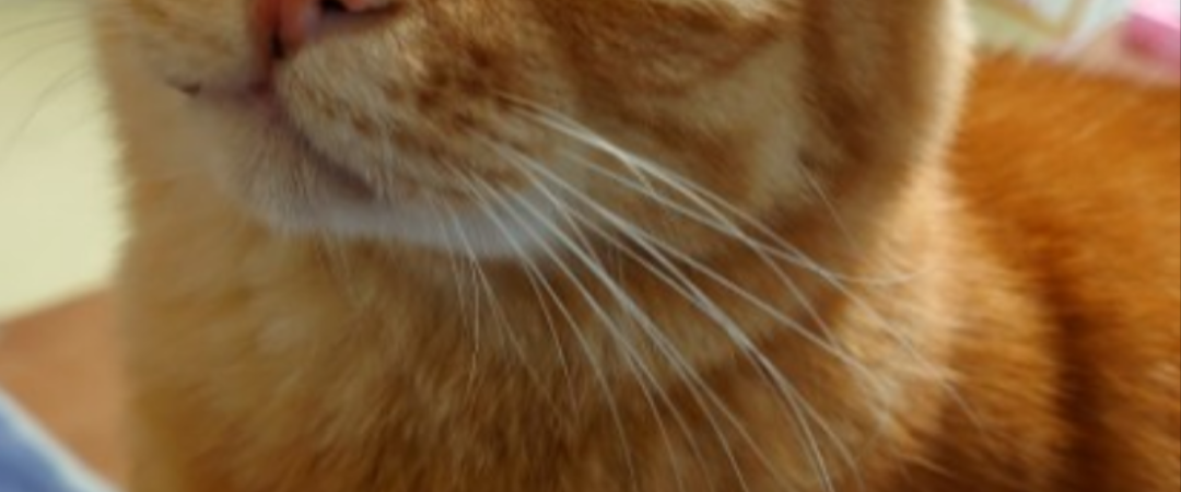 challenge background