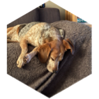 challenge badge