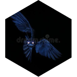 🦉🌜La Nuit🌛🦇 icon