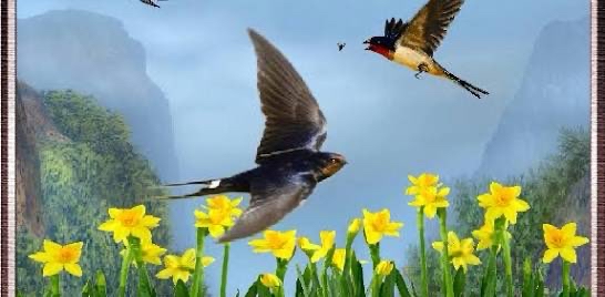 challenge background