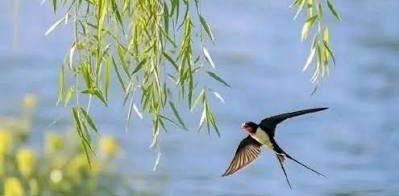 challenge background