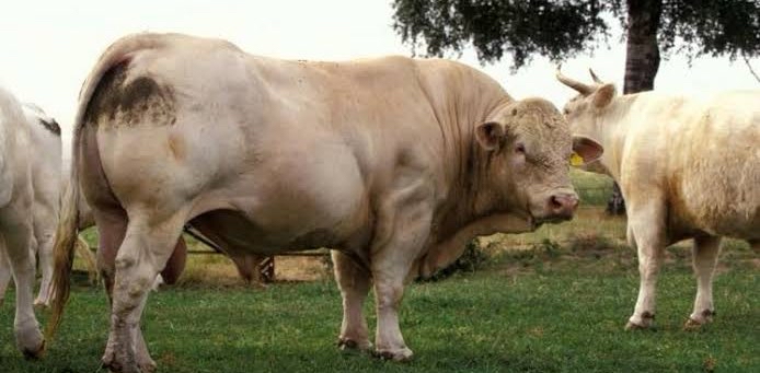 challenge background